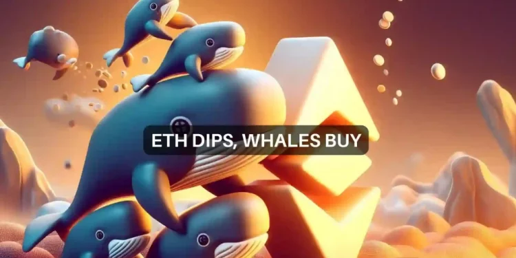 Большие шаги Ethereum: киты покупают падение, оставляя цену ETH на…